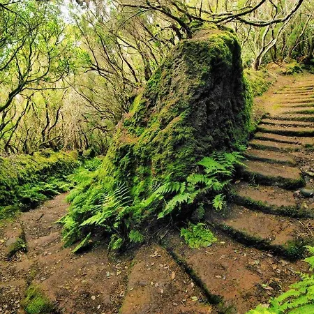 Apartmán Vistas Al Teide Ii Piscina Climatizada 39