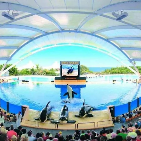 Apartmán Vistas Al Teide Ii Piscina Climatizada 39 *